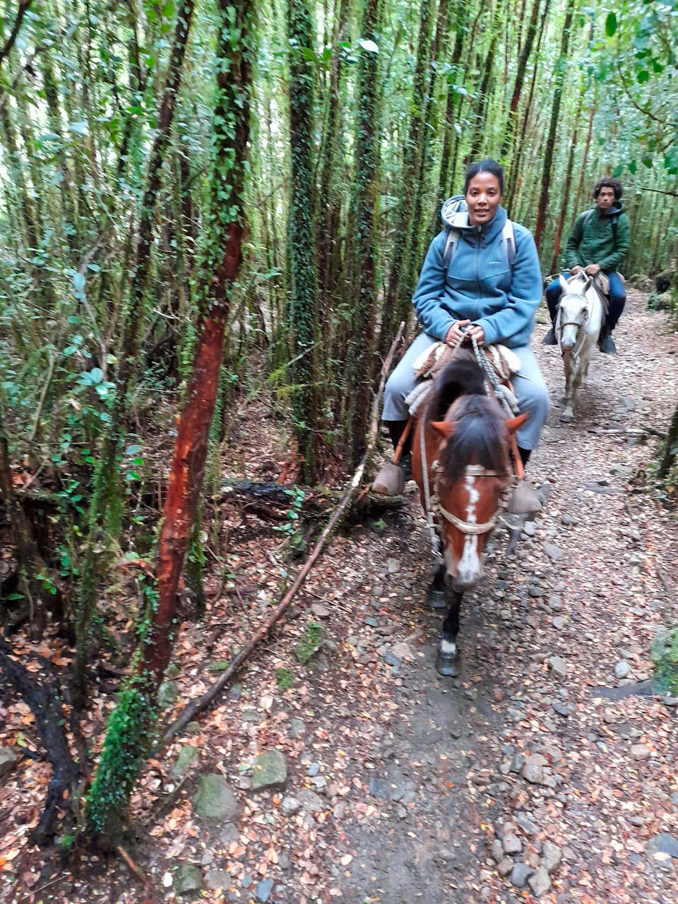 Cabalgatas