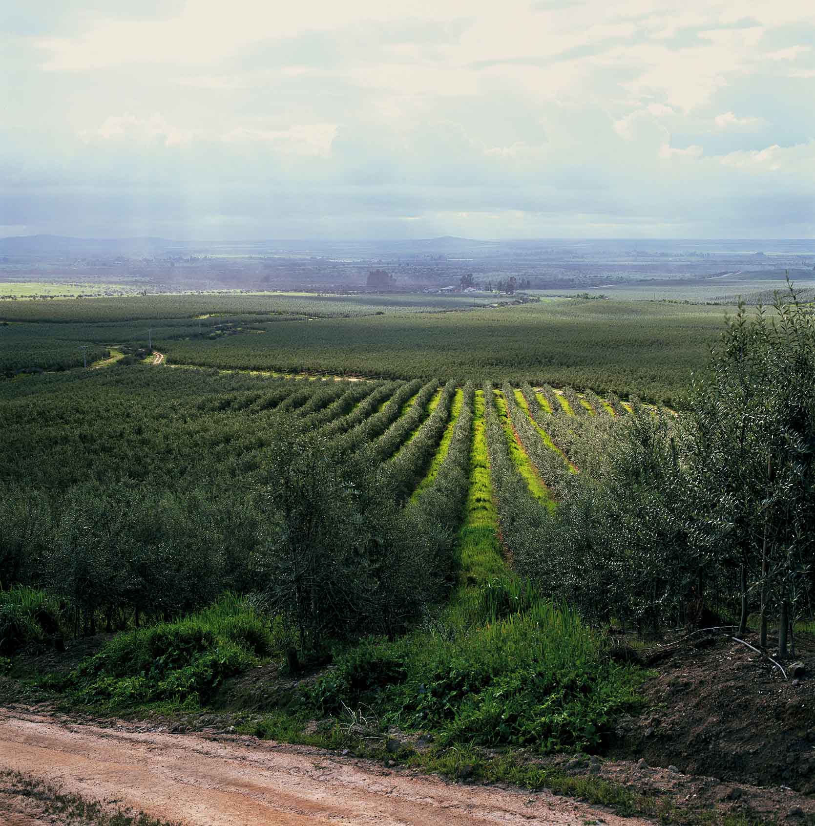 Bodega Caven increíble lugar