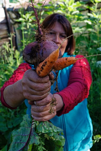 Ruca Chiloé