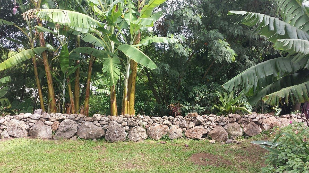 Cabañas Moana Nui