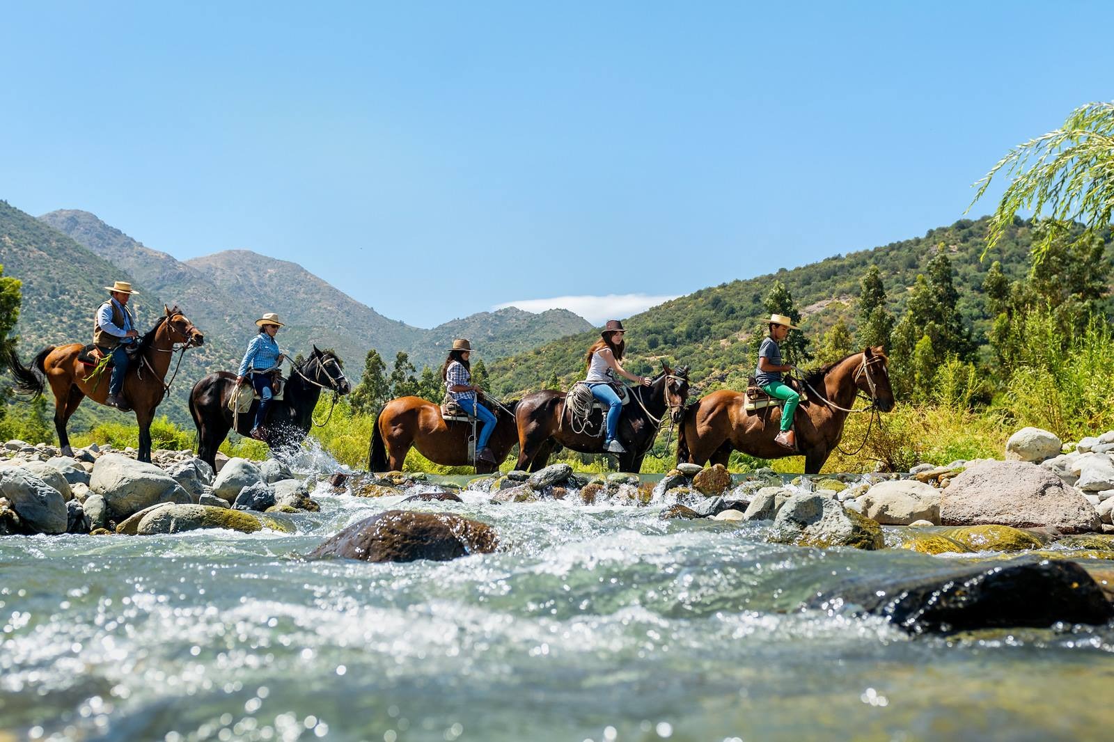 Cabalgata