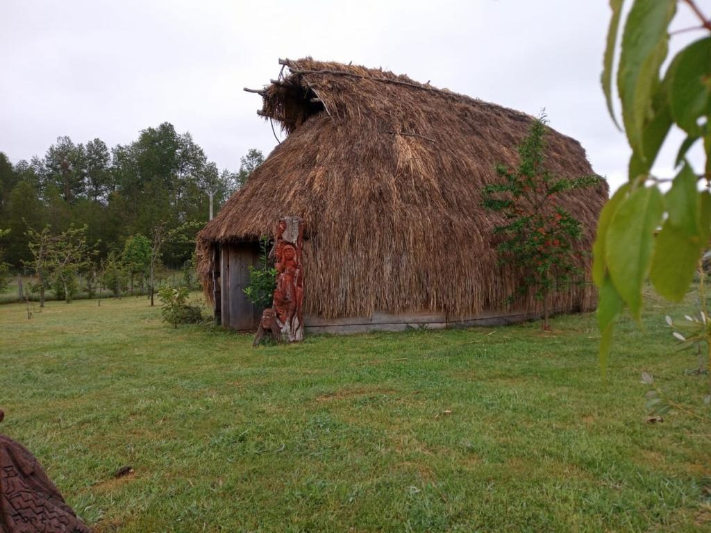 Fortín Mapuche