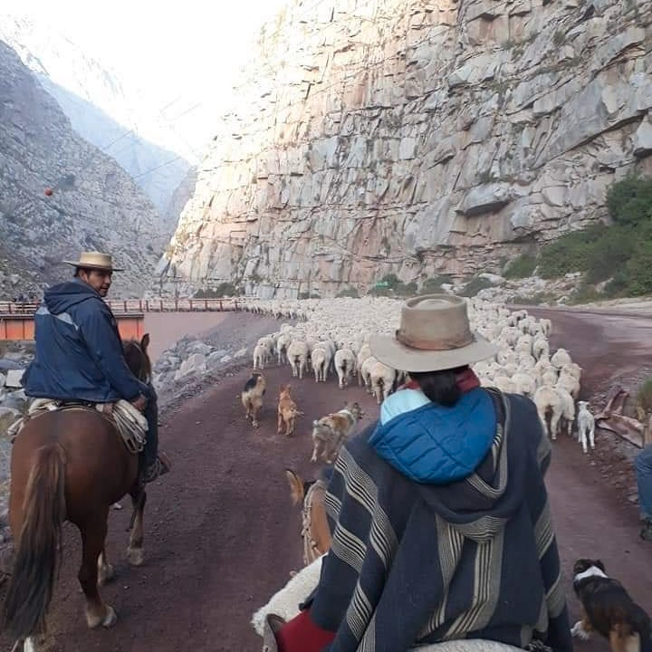 Cabalgatas