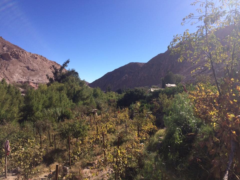 Hospedaje Camping y Restaurante Champale