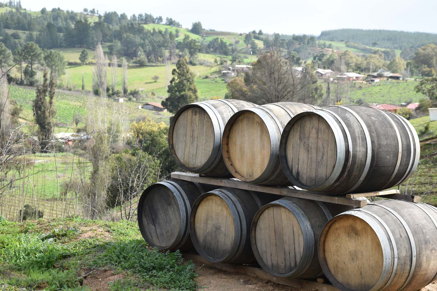 Itata Sabores de Portezuelo increíble lugar