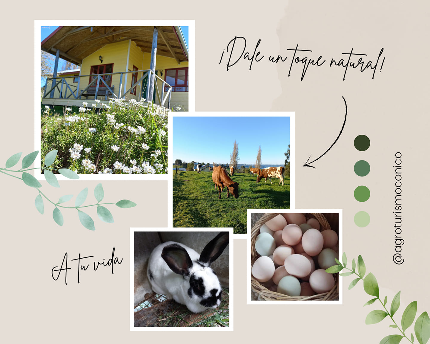 Agroturismo Coñico