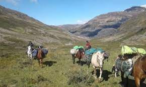 Bajo Baguales