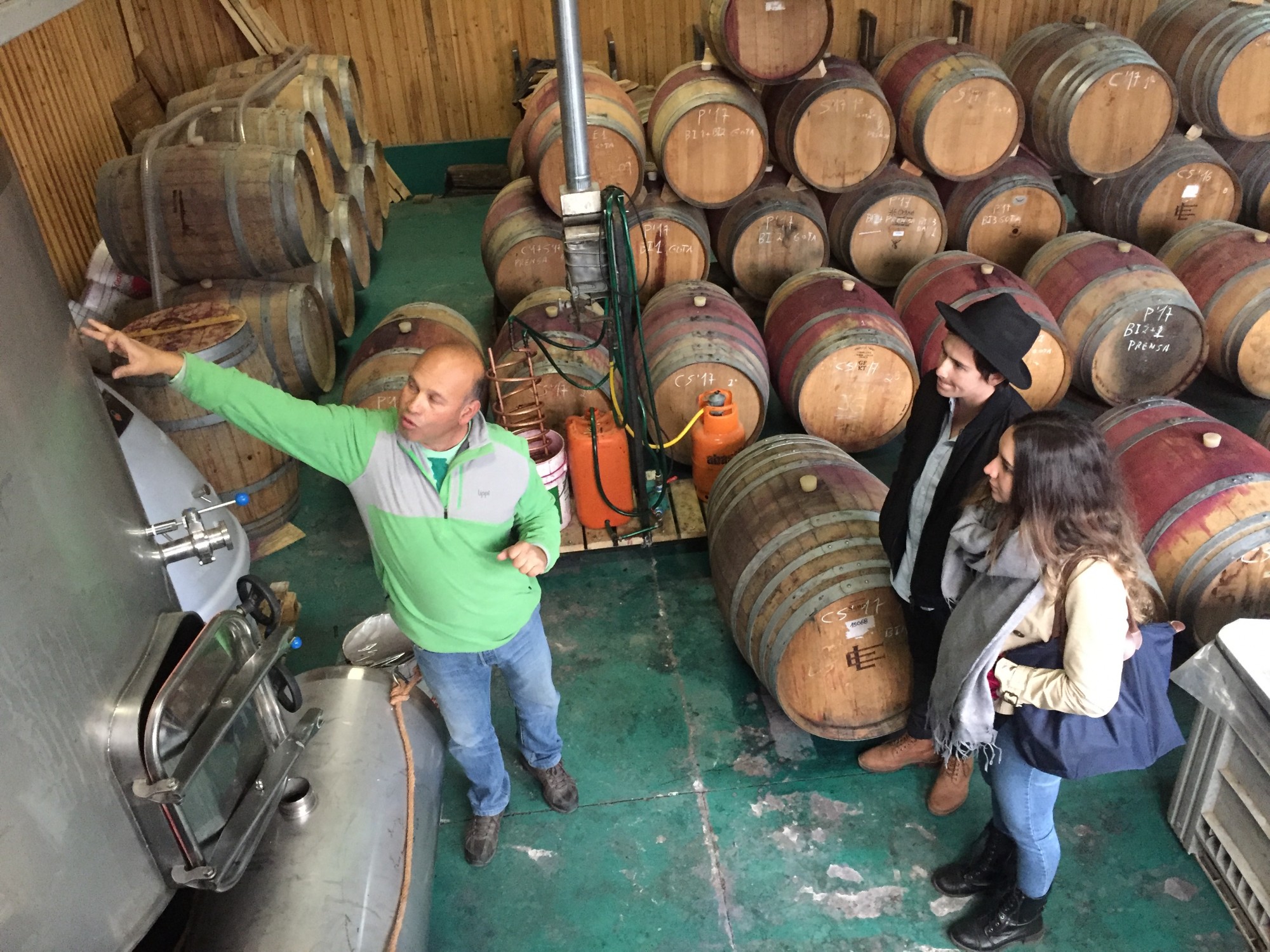 venta vinos