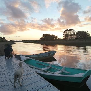 Cabañas Peumayén Toltén