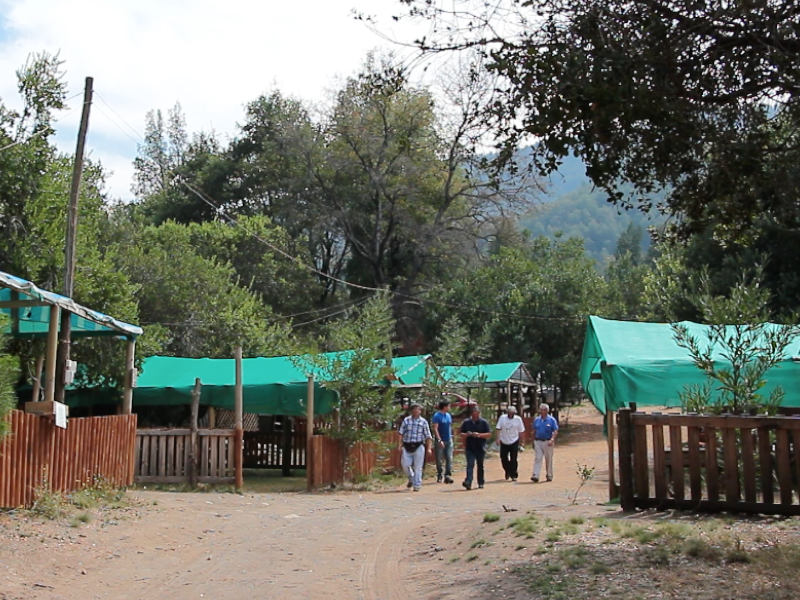 Camping