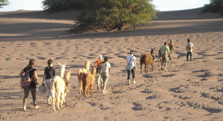 Tour Guiado Caravana Ancestral