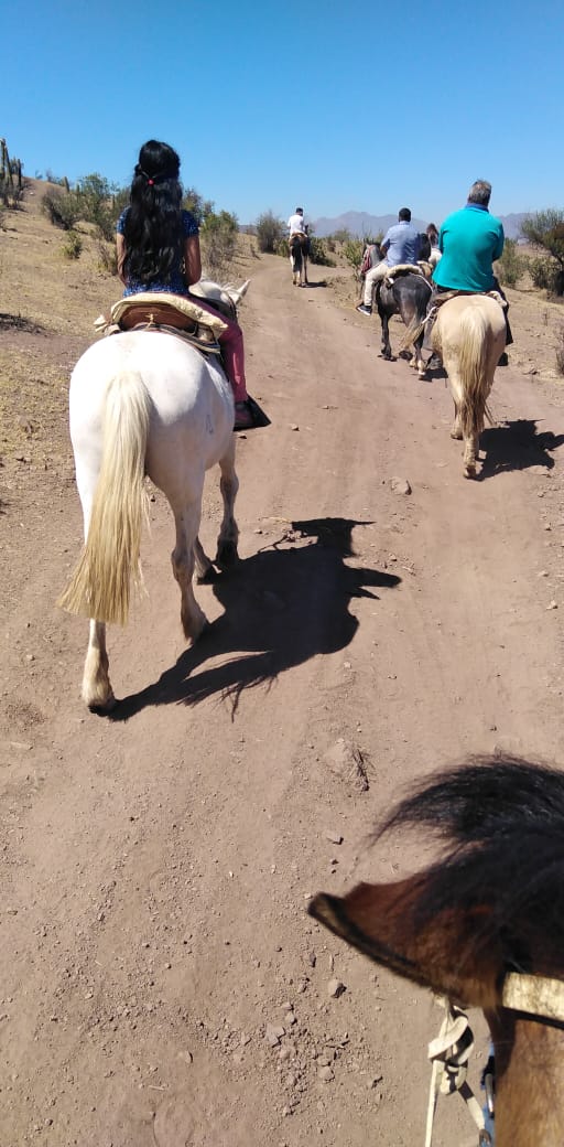 Cabalgatas
