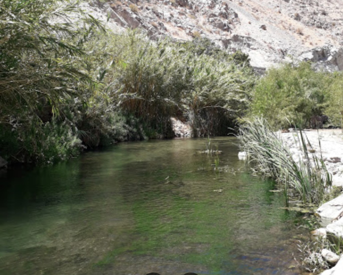 Cabañas Chañar Blanco