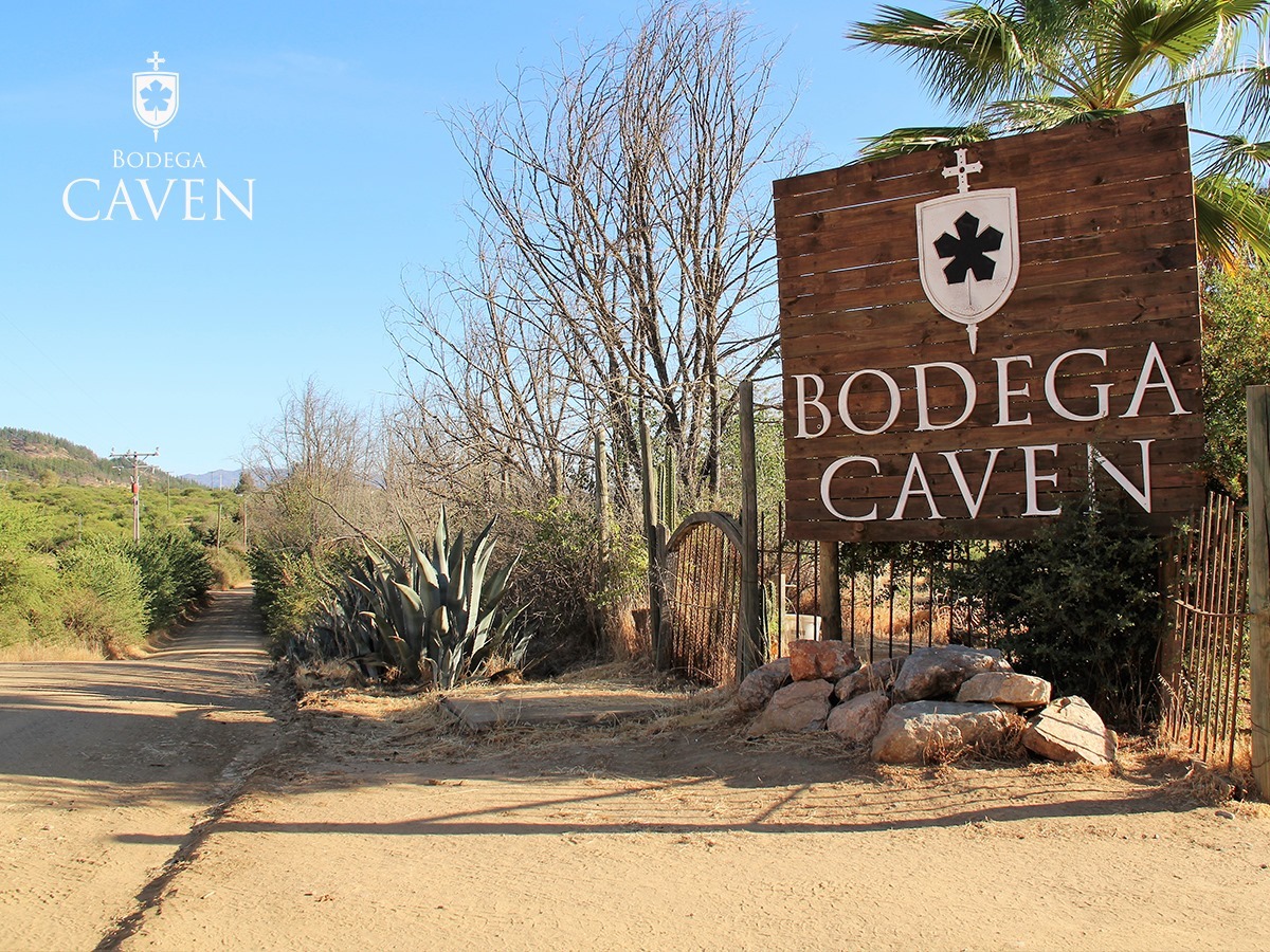 Bodega Caven