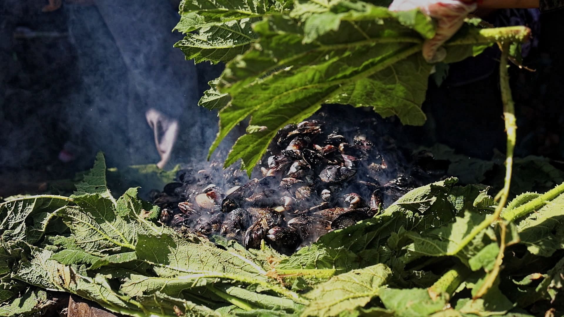 Fogón Agroturismo La Pincoya