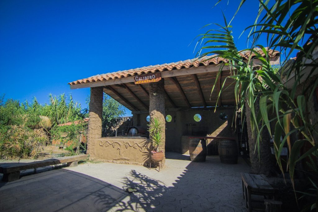 Servicio de Productos Agroelaborados