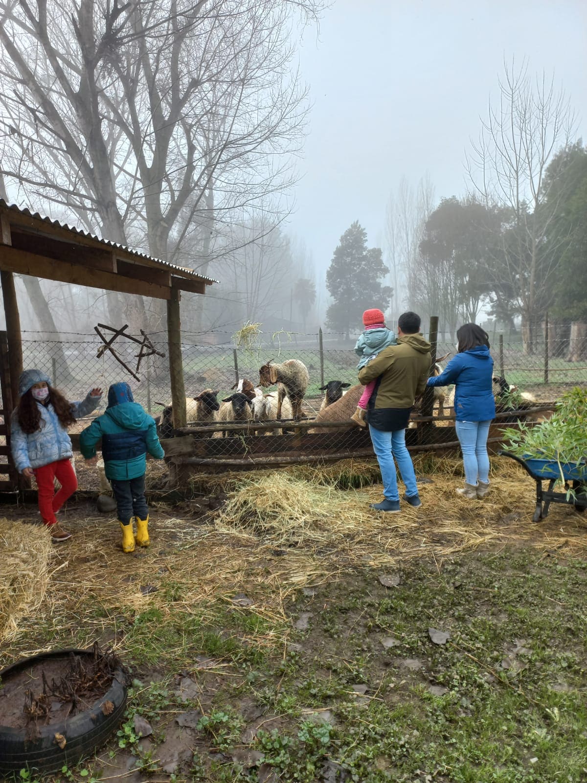 Museo Granja interactiva