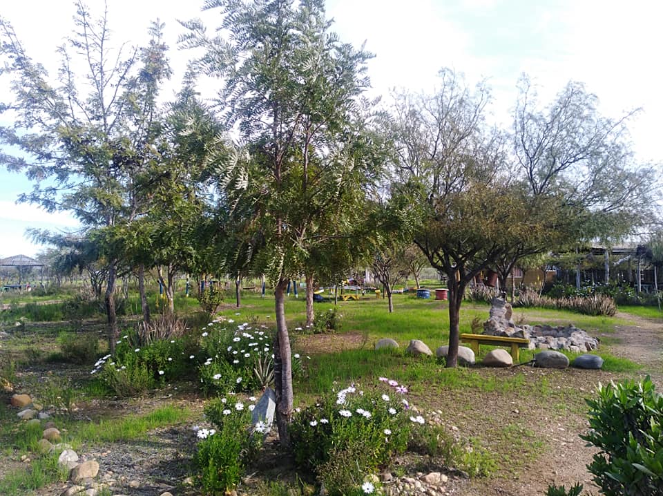 Camping Pumas del Encanto