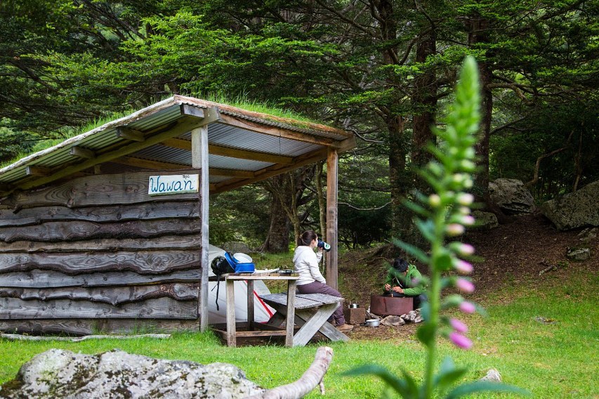 Camping