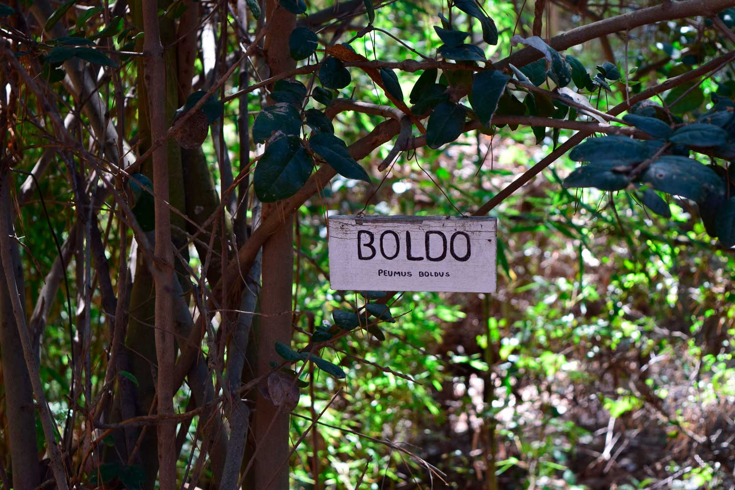 Excursión Familiar 