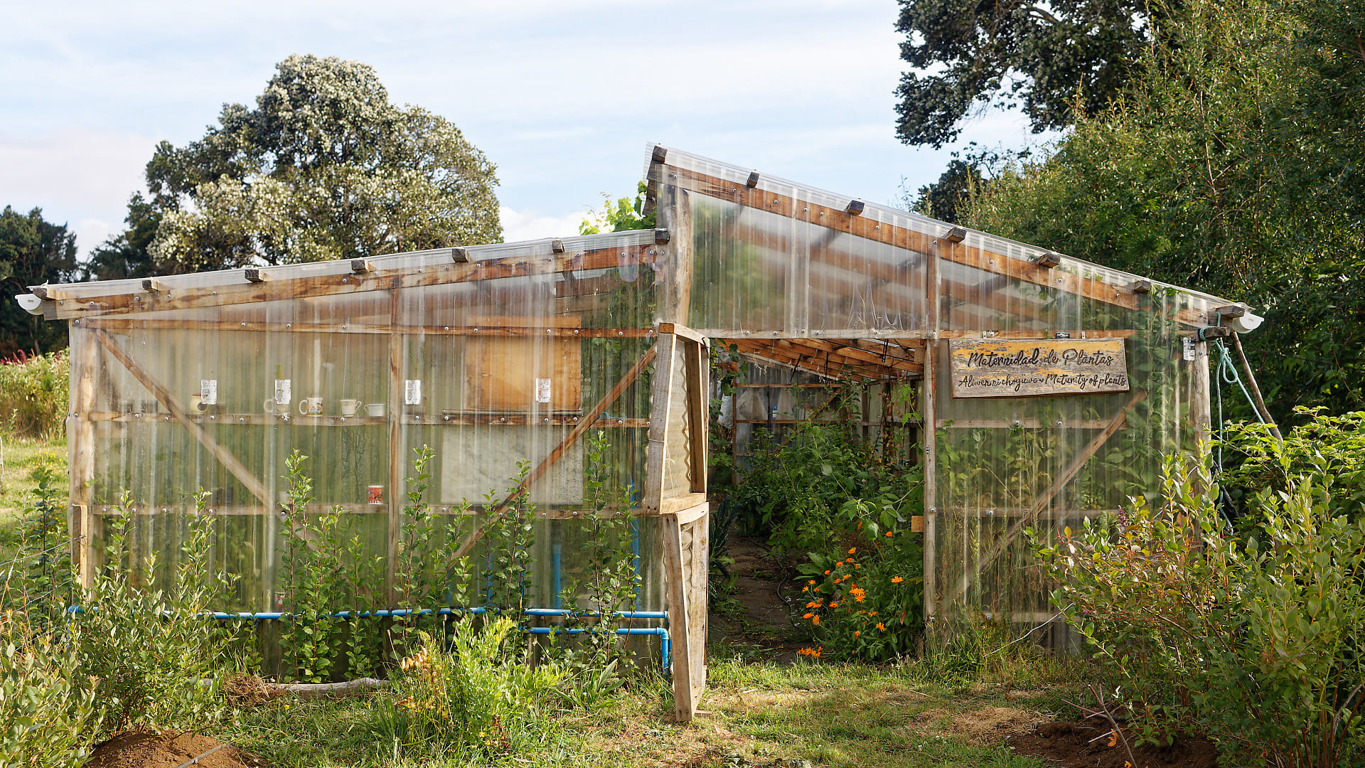 Agroturismo Terralluvia Chiloé