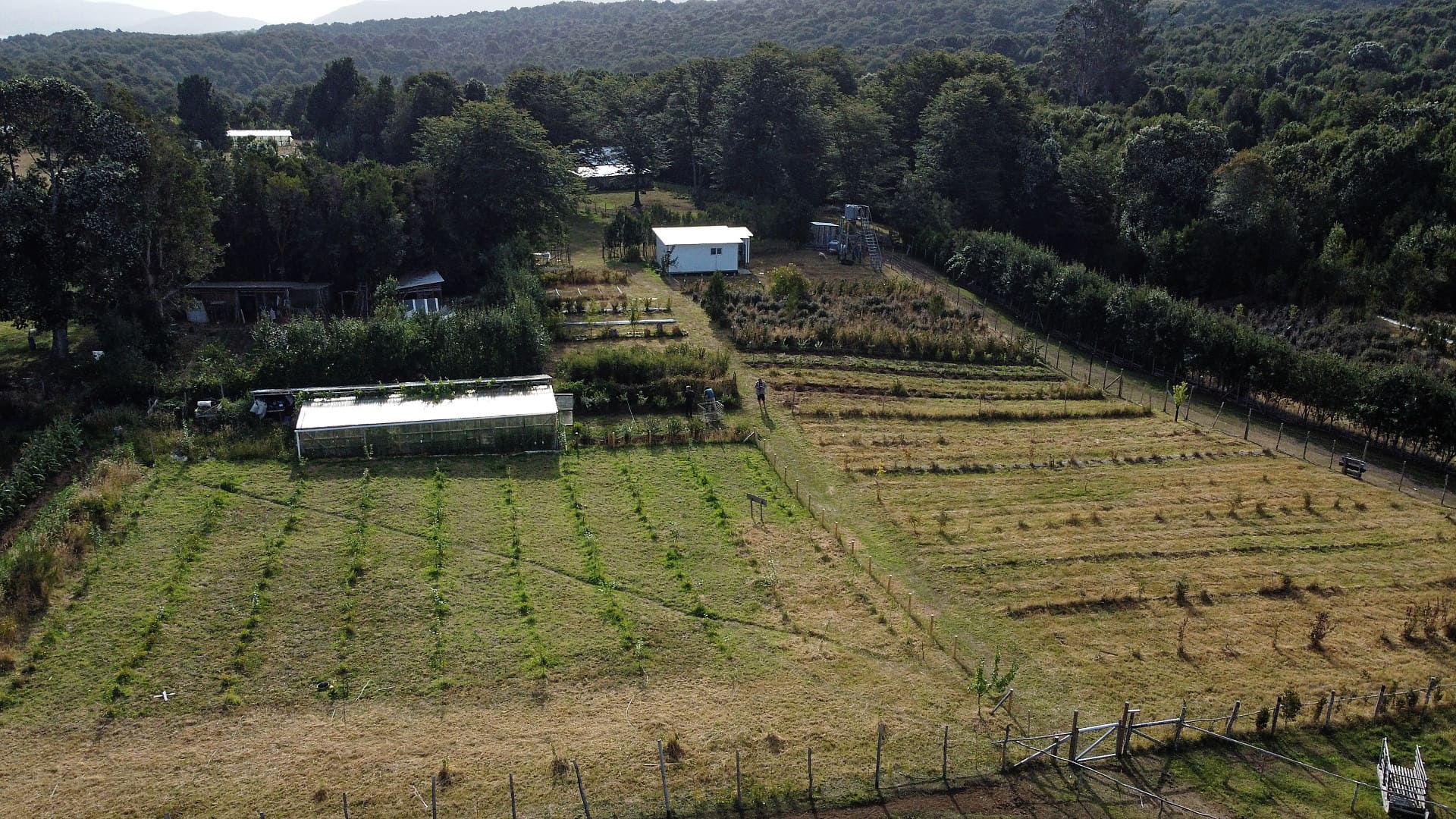 Granja interactiva