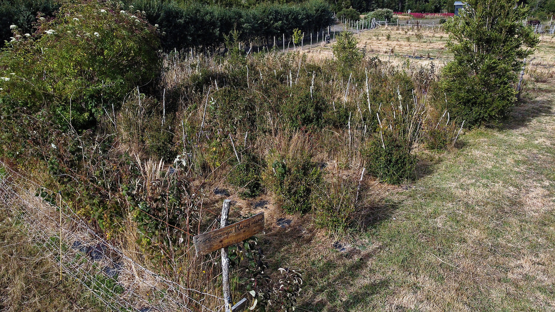 Agroturismo Terralluvia Chiloé