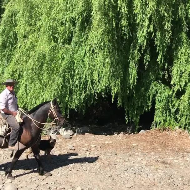 Cabalgata