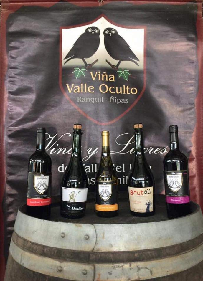 Vinos Valle Oculto