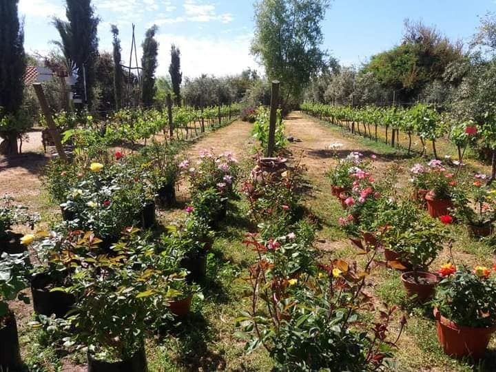 Zoológico, Jardín Botánico o Granja Educativa