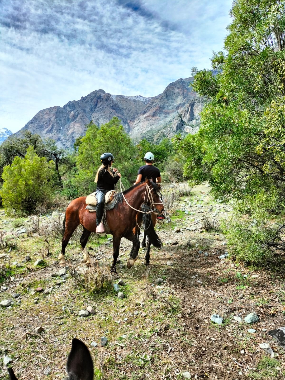 Cabalgatas Cádiz