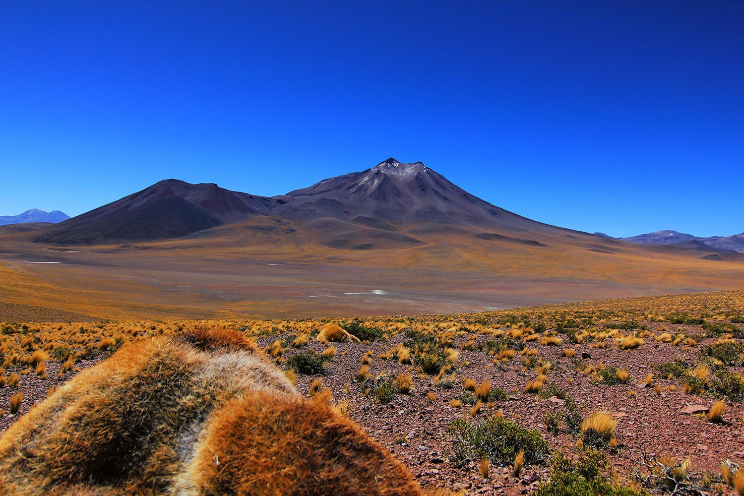 Atacama