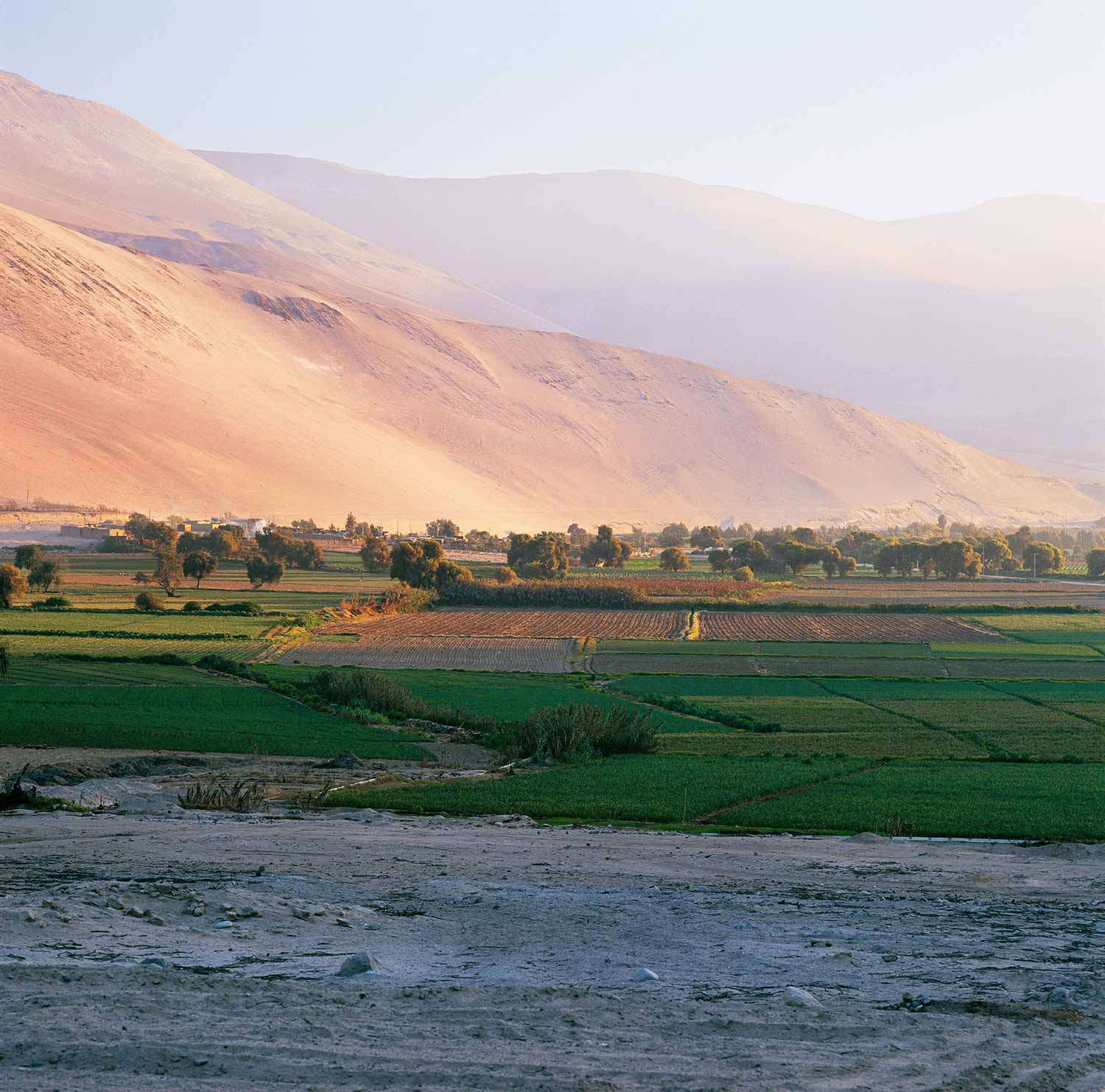 Arica y Parinacota
