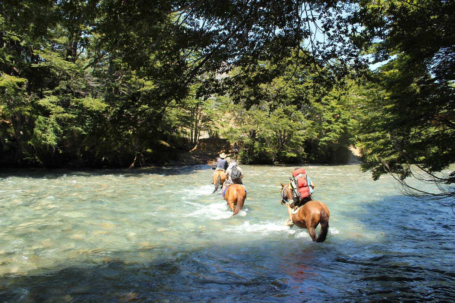 Camping Tañi Mapu increíble lugar